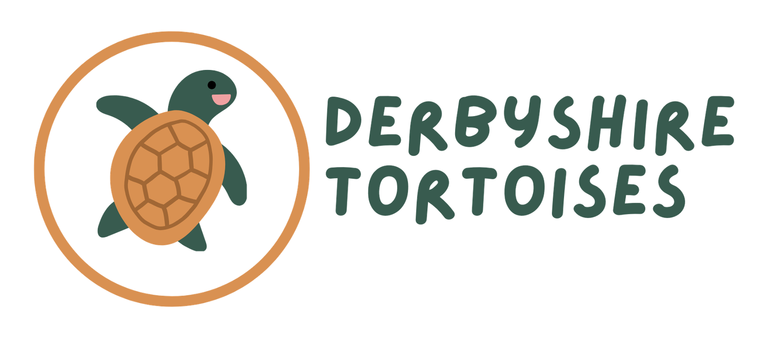 Derbyshire Tortoises